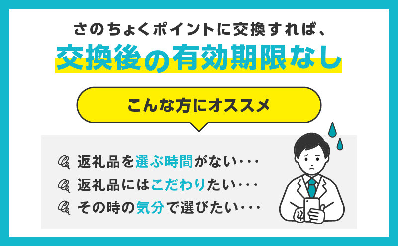 大阪府泉佐野市のふるさと納税 【有効期限なし】 あとから選べる 泉佐野ふるさとギフト（寄附1,000円コース）【3000品以上掲載 高評価 カタログ 肉  牛たん ビール  かに サーモン 野菜 定期便 おせち タオル ティッシュ あとからセレクト カタログギフト】 sn020
