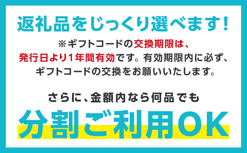 大阪府泉佐野市のふるさと納税 【有効期限なし】 あとから選べる 泉佐野ふるさとギフト（寄附1,000円コース）【3000品以上掲載 高評価 カタログ 肉  牛たん ビール  かに サーモン 野菜 定期便 おせち タオル ティッシュ あとからセレクト カタログギフト】 sn020
