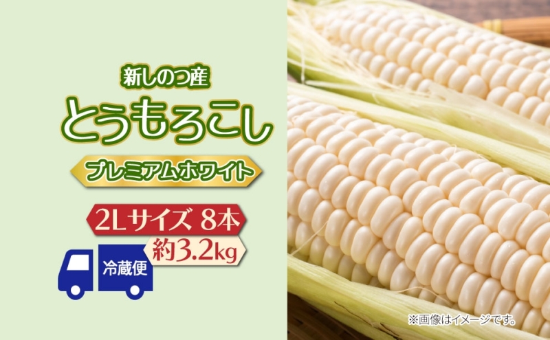 北海道 新しのつ産 とうもろこし プレミアムホワイト 2L 8本 白