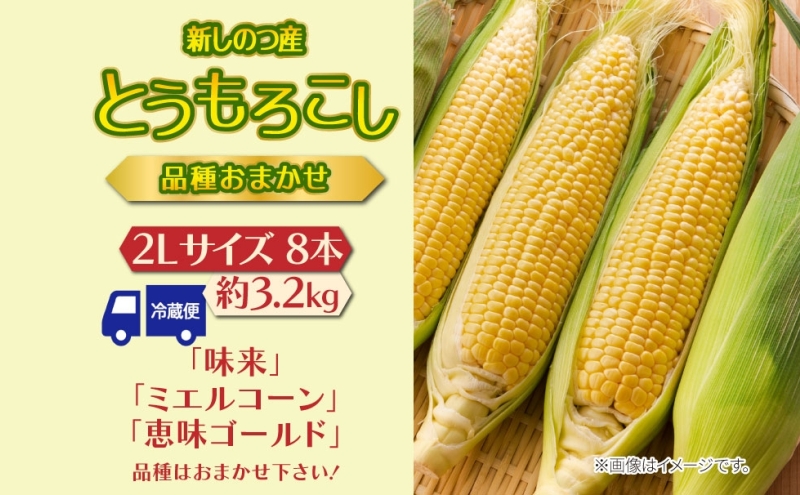 北海道 新しのつ産 とうもろこし 黄色 2L 8本 トウモロコシ とうきび