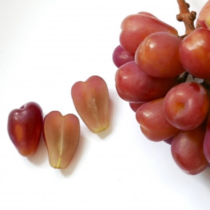 ぶどう 2026年 先行予約 農家こだわりのシャインマスカット＆ハート型のマイハート  合計約1.0kg ブドウ 葡萄 岡山県産 国産 フルーツ 果物 ギフト 【 Nini farm 農家 直送 】