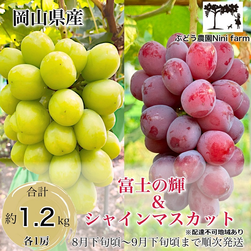 yR˓szԂǂ 2026N s\ b̕i xm̋P̃VC}XJbg N v1.2kg uhE  RY Y t[c ʕ Mtg y Nini farm _  z