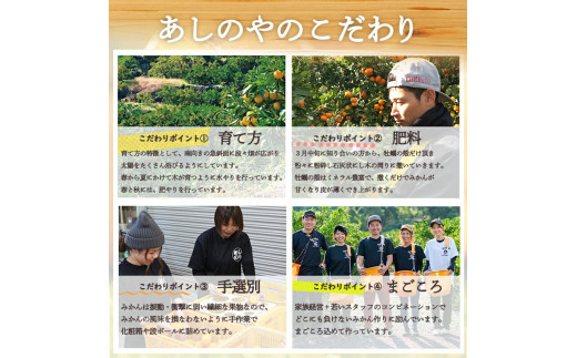 ZE6151n_【2026年先行予約】有田の八朔 (はっさく) 10kg (S～Mサイズ混合)　まごころ手選別