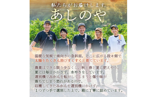 ZE6151n_【2026年先行予約】有田の八朔 (はっさく) 10kg (S～Mサイズ混合)　まごころ手選別