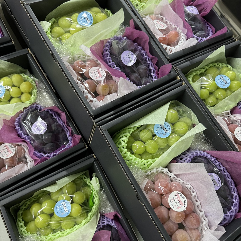 ぶどう 2026年 先行予約 農家こだわりのシャインマスカット＆お任せ2品種  3房合計約1.2kg ブドウ 葡萄 岡山県産 国産 フルーツ 果物 ギフト 【 Nini farm 農家 直送 】