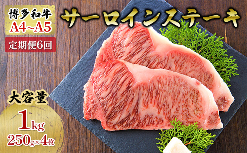 【福岡県大刀洗町】定期便 6ヶ月 牛肉 サーロイン ステーキ 合計1000g 博多和牛 A4〜A5(250g×4枚)セット 6回 配送不可:離島