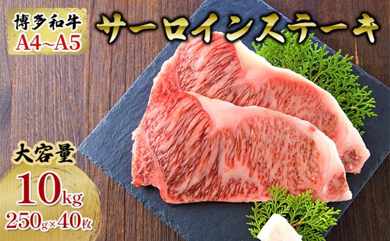 y品z T[CXe[L v10kg a A4`A5 Zbg 250g×40 zsF