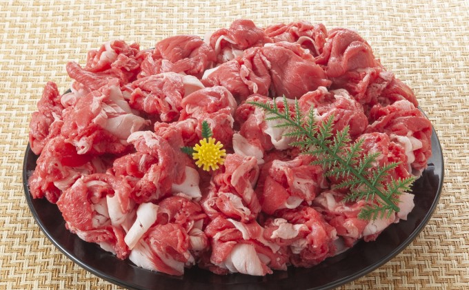 限定 牛肉 博多和牛 A4～A5 切落とし 合計10kg（500g×20p）肩ロース 赤身 バラ カルビ 配送不可：離島 牛肉炒め物 お肉 バラ(カルビ)