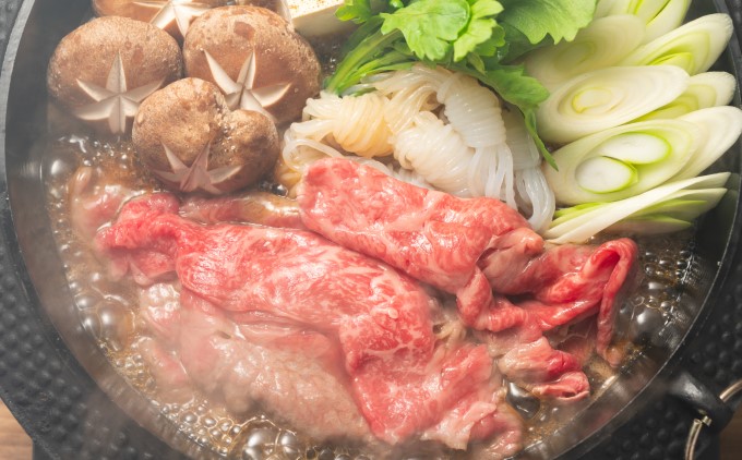 限定 牛肉 博多和牛 A4～A5 切落とし 合計10kg（500g×20p）肩ロース 赤身 バラ カルビ 配送不可：離島 牛肉炒め物 お肉 バラ(カルビ)