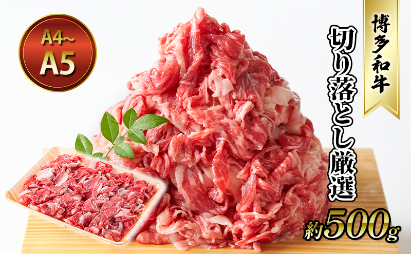 【福岡県大刀洗町】牛肉 切り落とし 約500g 博多和牛 A4〜A5 国産 和牛 九州産 黒毛和牛 肉 お肉 牛 冷凍 送料無料 配送不可:離島
