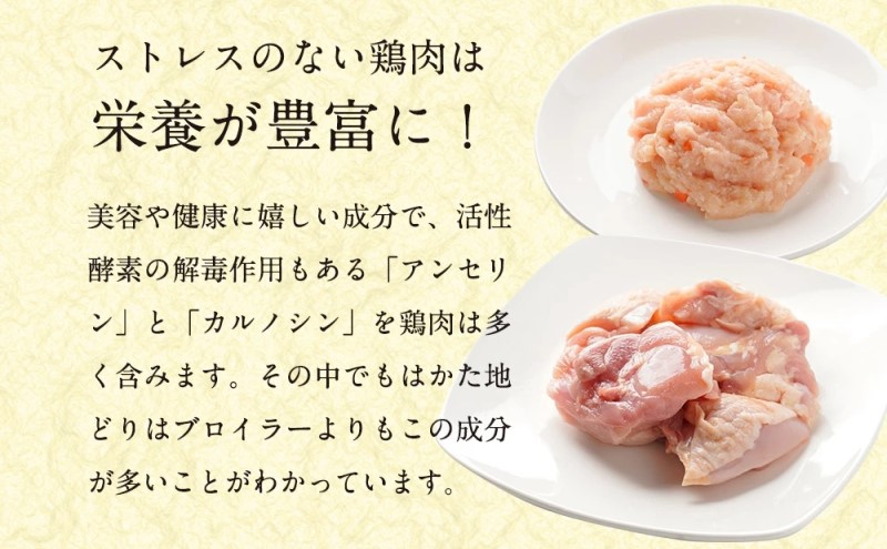 水炊き セット 2～3人前 コラーゲン スープ付き 福岡 限定！はかた地どり 美人水炊きセット 鶏 肉 とり肉 鳥肉 鶏肉 鍋 なべ ポン酢 地鶏 冷凍 贈答品 送料無料 配送不可：離島