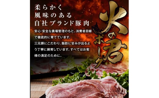 FK7-0021_【数量限定】熊本県産 火の君ポーク(登録商標) 5種詰合せ 約3.2kg 豚こま 豚コマ ロース バラ 肉 豚肉しゃぶしゃぶ 生姜焼き 豚汁 弁当 焼肉 ストック 便利
