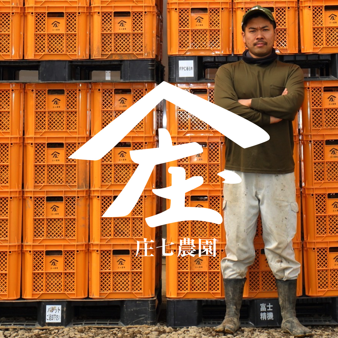 茨城県つくばみらい市のふるさと納税 【贈答用・ギフト】干し芋 寒干し "極" 100g×6パック ほしいも いも 芋 さつまいも さつま芋 お菓子 おやつ スイーツ 甘い 庄七農園 紅はるか 干しいも 茨城 茨城県 小分け  [BK08-NT]