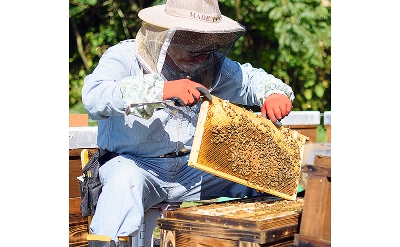 はちみつ 志賀高原BUNBUN 百花蜜300g ハチミツ 蜂蜜 山ノ内町