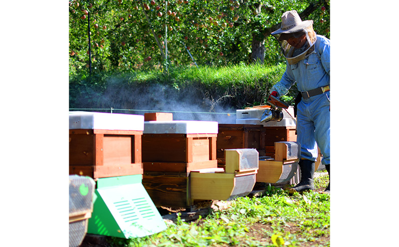 はちみつ 志賀高原BUNBUN 百花蜜300g ハチミツ 蜂蜜 山ノ内町