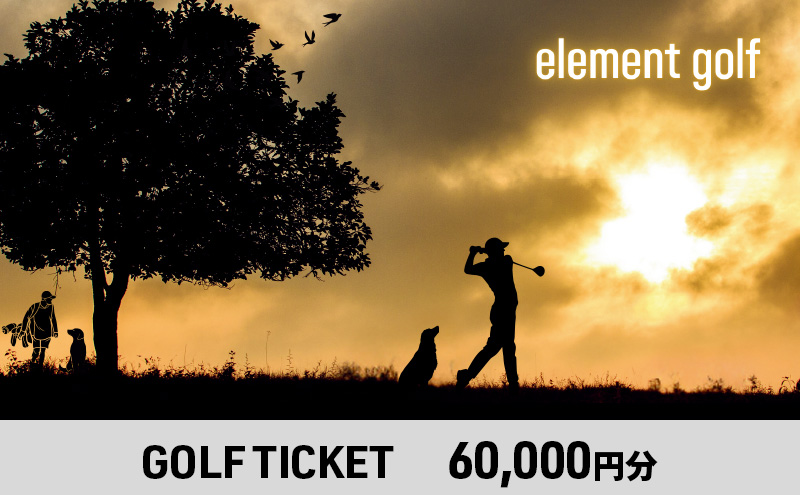 【60,000円分】 elementgolf ゴルフチケット (ゴルフクラブ作成、修理・調整、フィッティング) エレメントゴルフ × 名古屋外国語大学コラボデザインチケット ゴルフ ゴルフクラブ 愛知 日進市
