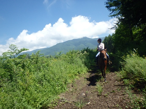 まきば軽井沢　どーんと150分乗馬体験　1名様 長野 信州 小諸 大自然 体験チケット 