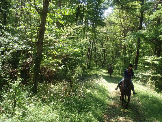 まきば軽井沢　どーんと150分乗馬体験　1名様 長野 信州 小諸 大自然 体験チケット 
