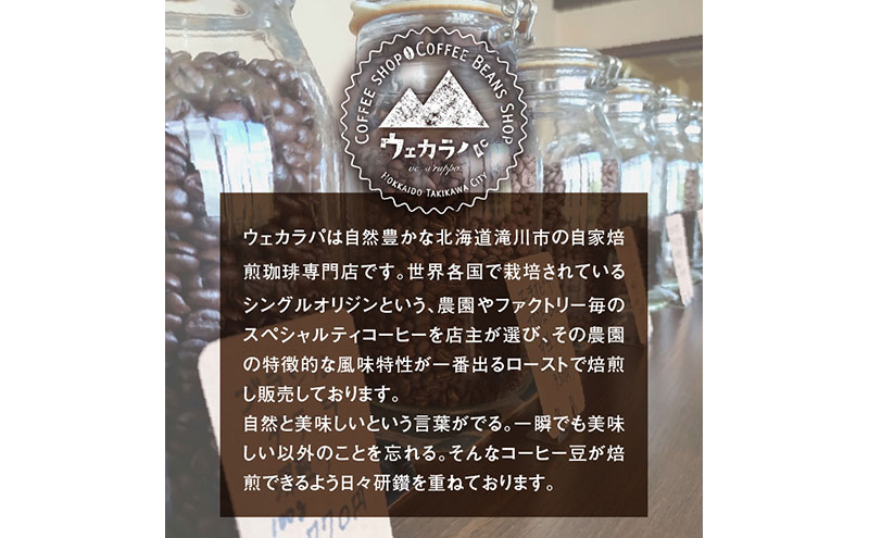 スペシャルティ コーヒー ドリップバッグ セット 4種16袋 おまかせ コーヒー 北海道 滝川市