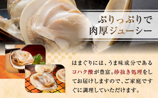 大洗産鹿島灘天然はまぐり 5kg 冷蔵 お吸い物 ハマグリ 蛤 貝 砂抜き処理 魚介類 大洗産 天然 はまぐり