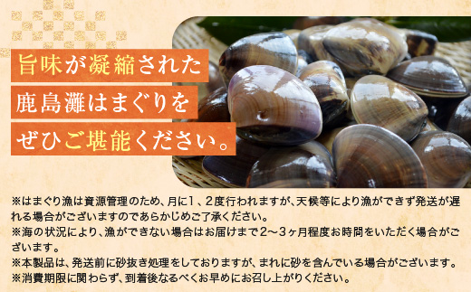大洗産鹿島灘天然はまぐり 5kg 冷蔵 お吸い物 ハマグリ 蛤 貝 砂抜き処理 魚介類 大洗産 天然 はまぐり