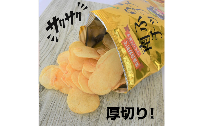 北海道南富良野町のふるさと納税 【セゾン限定】ポテトチップス 北海道 町内道の駅のみ販売中 南ふらのチップス 100g×10袋 うすしお味 厚切り じゃがいも スナック スナック菓子 ポテトチップ うすしお チップス ポテト 芋 菓子 お菓子 おやつ 大容量 箱 ジャガイモ 富良野