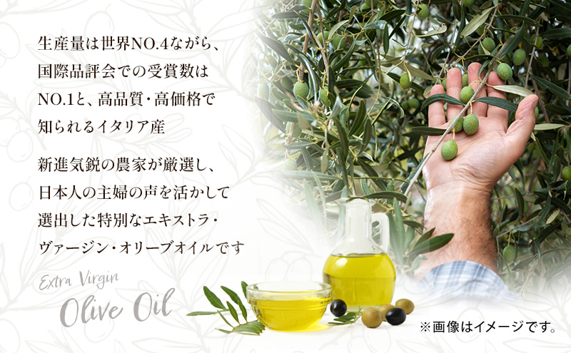 【受賞農家が選出】 高級イタリア産 エキストラ・ヴァージン・オリーブオイル 450g×3個【隔月定期便6回(2ヶ月に1度)お届け】 調味料 油 オリーブ油 食用油 静岡県 袋井市