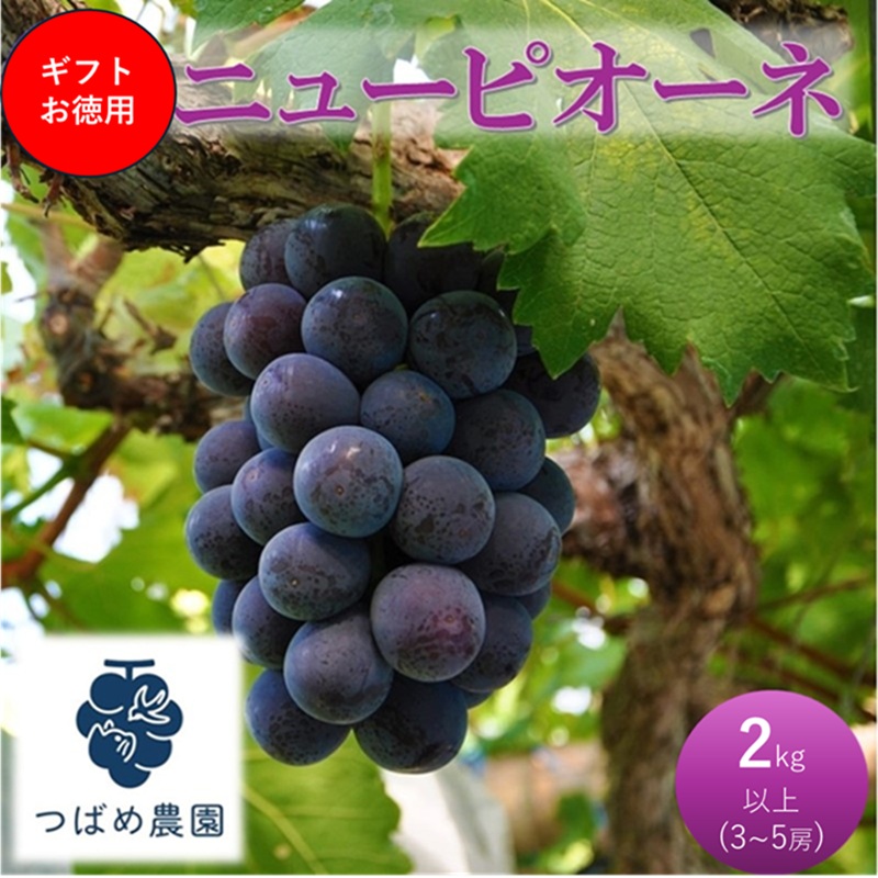 yRsz2026N t Ԃǂ Mtgpj[sI[l 2kgȏ(3`5[) ʌ@R sY