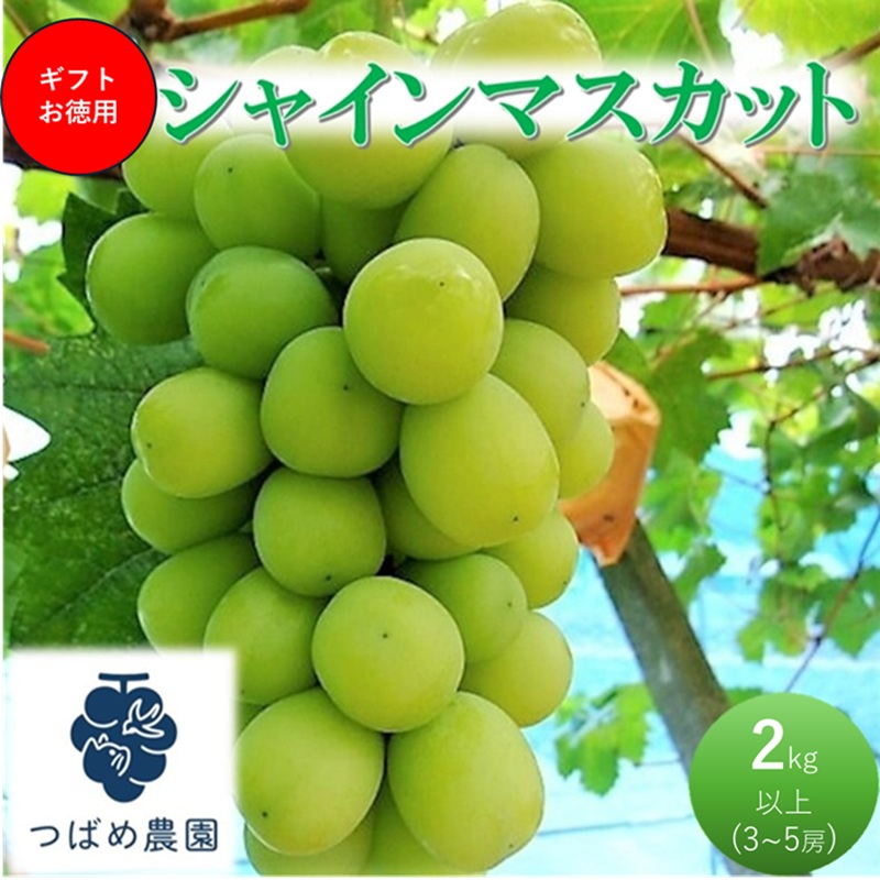 yRsz2026N t Ԃǂ Mtgp VC}XJbg 2kgȏ(3`5[) ʌ R sY