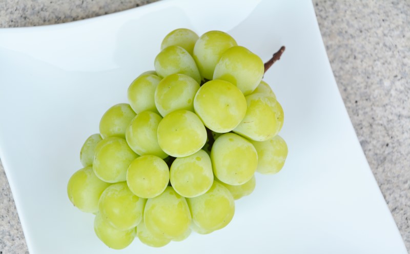 【朝倉市制施行20周年記念企画】 定期便 2回 うるう農園 2026年1月発送 特選 あまおう 400g ゆう美果樹園 2026年9月発送 シャインマスカット 1～3房 約1kg ※配送不可：離島