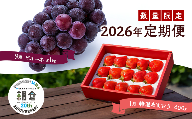 【朝倉市制施行20周年記念企画】 定期便 2回 うるう農園 2026年1月発送 特選 あまおう 400g ゆう美果樹園 2026年9月発送 ピオーネ 1～3房 約1kg いちご ピオーネ セット ※配送不可：離島