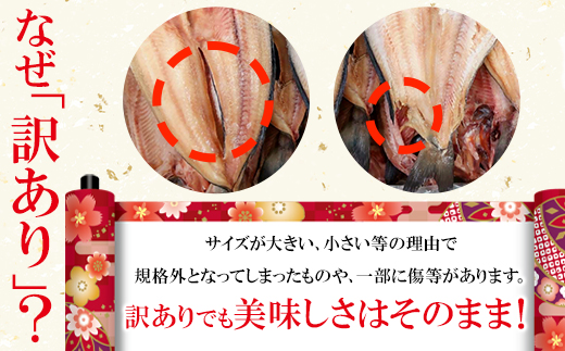【2026年1月下旬発送】訳あり 干物 詰め合わせセット 2.2kg 真ホッケ 縞ホッケ サバ イワシ 北海道