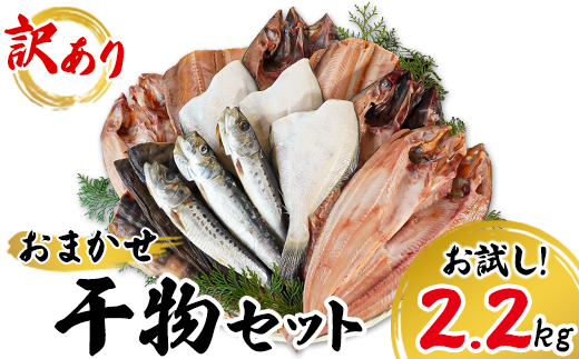 【北海道鹿部町】【2026年2月下旬発送】訳あり 干物 詰め合わせセット 2.2kg 真ホッケ 縞ホッケ サバ イワシ 北海道