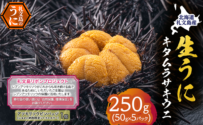 【礼文島リボンプロジェクト】北海道 礼文島産 採れたて キタムラサキウニ 塩水パック 50g×5 生うに 生ウニ 塩水うに 魚貝類 雲丹