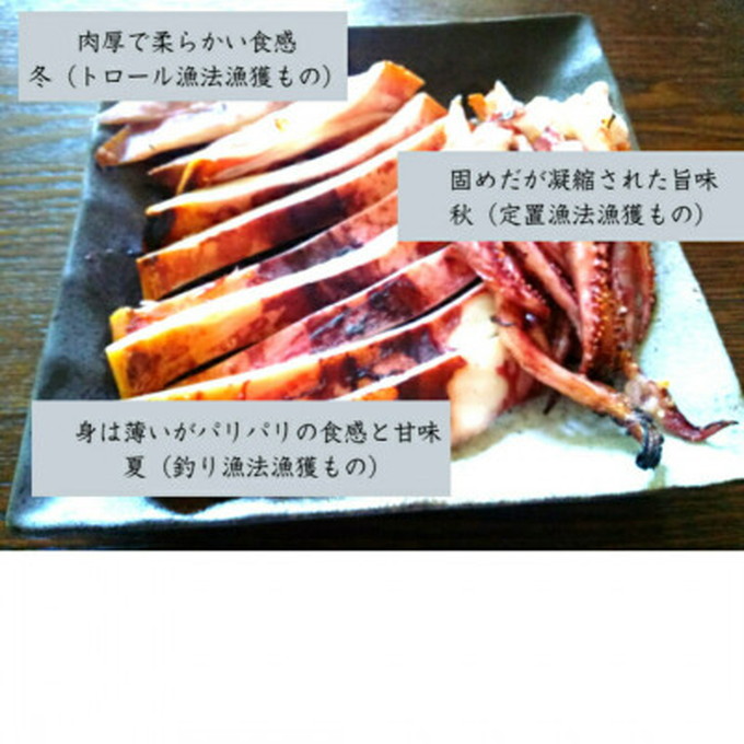 【宮古市】スルメイカの一夜干し5枚セット 岩手県宮古市 冷凍 真空包装 スルメイカ