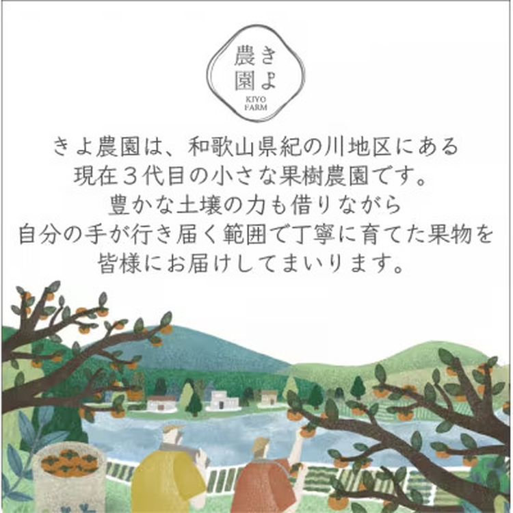 先行受付　柿(種無し)　赤秀品大玉　6個入　約1.8kg