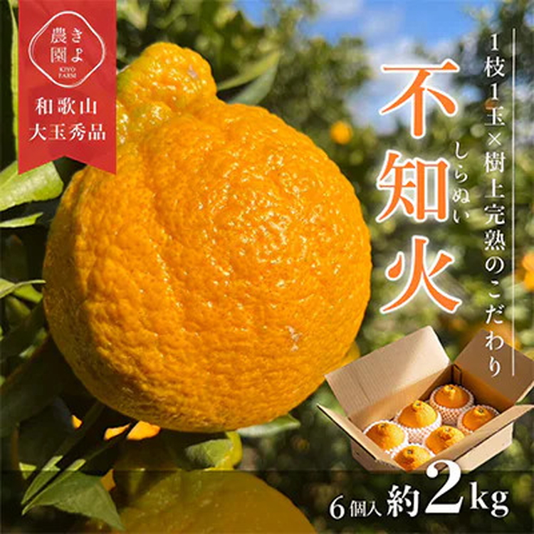 【和歌山県美浜町】先行受付 不知火 希少な樹上完熟! 秀品大玉 6個入 ※2026年2月下旬〜3月下旬頃に順次発送予定