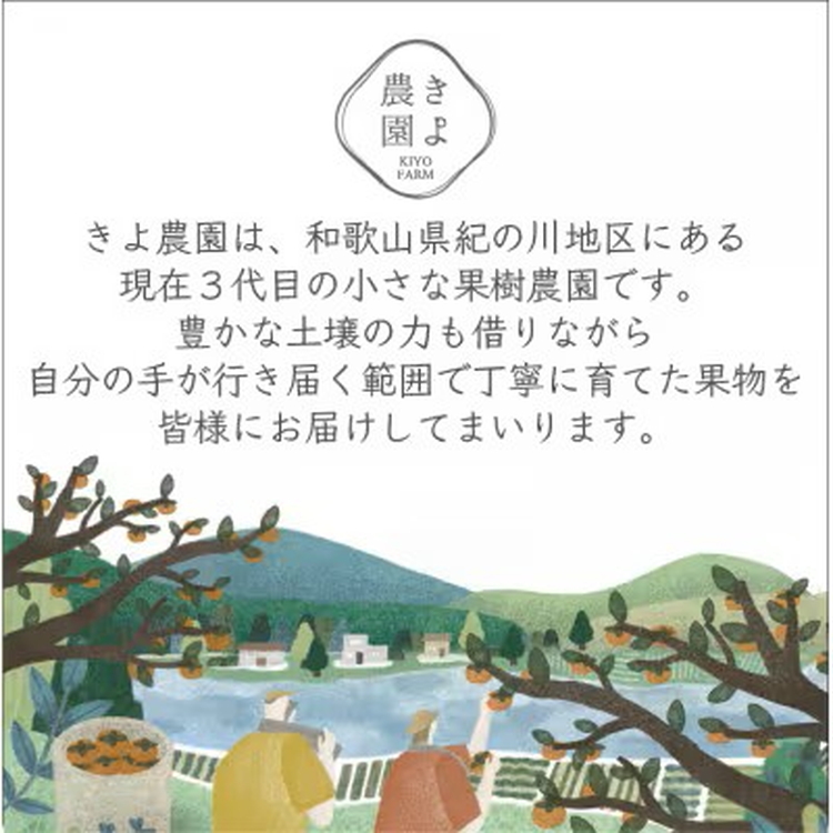 先行受付　大粒まりひめイチゴ　朝摘　6個～11個入×2パック ※2026年1月中旬～3月下旬頃に順次発送予定 ※離島への配送不可