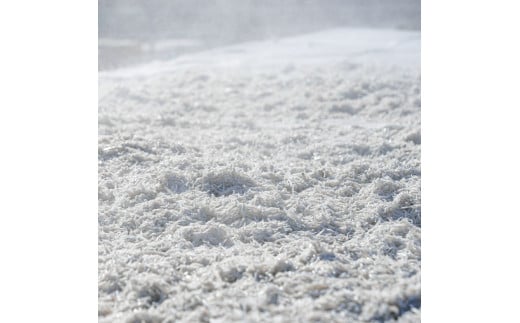 釜あげしらす 1kg 1キロ タレ付き 500g×2袋 シラス 小分け おじゃこ ちりめんじゃこ ふわふわ 国産 釜揚げ しらす丼 海鮮丼 ごはん ご飯 おにぎり おかず おつまみ お取り寄せ 美味しい