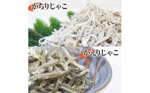 おじゃこ食べ比べセット ゆず酢・タレ付き シラス 小分け じゃこ ちりめんじゃこ ふわふわ 国産 釜揚げ かちりじゃこ しらす丼 海鮮丼 ごはん ご飯 おにぎり おかず お取り寄せ 美味しい