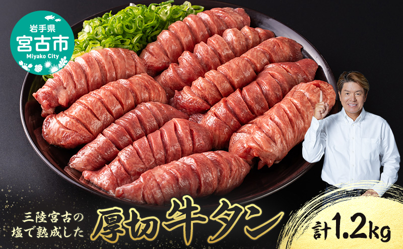 【岩手県宮古市】三陸宮古の塩を使用した 熟成牛タン スライス 1.2kg (200g×6p) セット 詰め合わせ 厚切り牛タン 味付け肉 味付き肉 牛たん 牛タン 牛肉 牛 肉 お肉 厚切り 熟成 タン 冷凍 冷凍牛たん 焼き肉 焼肉 キャンプ BBQ アウトドア 岩手 岩手県 宮古市