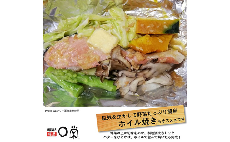 三陸の伝統的な製法でつくる 寒風干鮭 切身 (150g×3p) セット 詰め合わせ 鮭 サケ シャケ 鮭の切り身 魚の切り身 魚 魚介 魚介類 個包装 冷凍 岩手 岩手県 宮古市