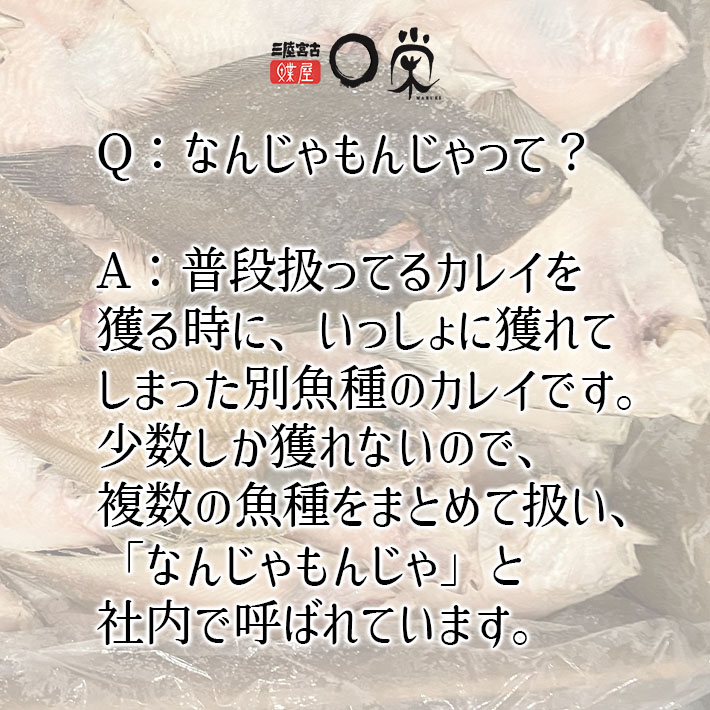 訳あり なんじゃもんじゃ 未利用魚 かれい 2kg セット 詰め合わせ 干し魚 干物 ひもの カレイ 魚 魚介 魚介類 冷凍 訳アリ 岩手 岩手県 宮古市