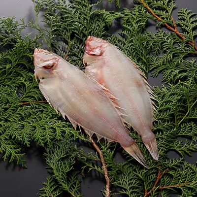 こだわりの干かれい 充実 セット 詰め合わせ かれい専門店 ヒレグロ ソウハチ かれい カレイ 干し魚 干物 ひもの 魚 魚介 魚介類 冷凍 岩手 岩手県 宮古市