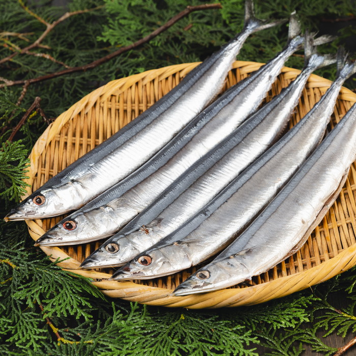 【宮古市】潮風さんま10本