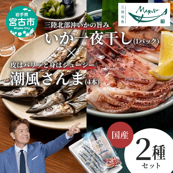 【宮古市】いか一夜干し1p・潮風さんま4本 2種セット