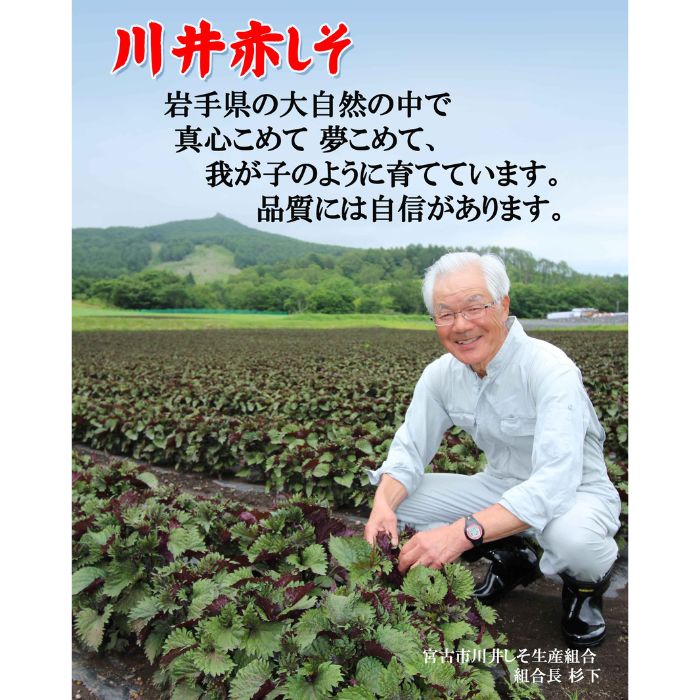 【宮古市】川井ペリーラ飲料