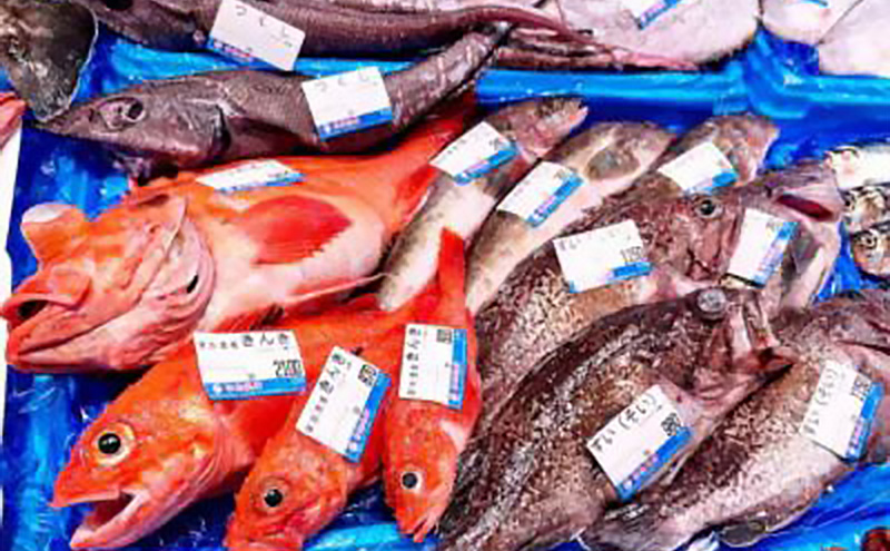 【三陸厳選】岩船商店おまかせ海産物詰め合わせセット 岩手県宮古市 海の幸 旬の魚 詰め合わせ