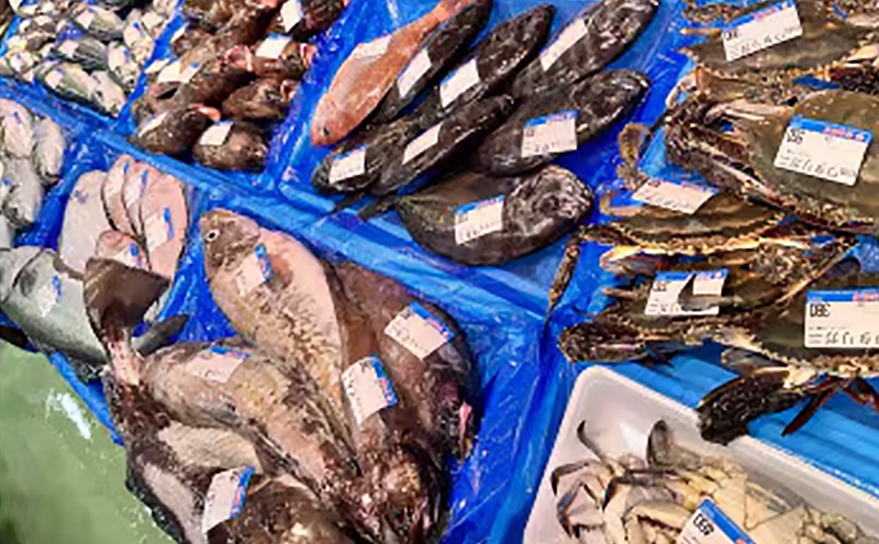 【三陸厳選】岩船商店おまかせ海産物詰め合わせセット（2）岩手県宮古市 海の幸 旬の魚 詰め合わせ