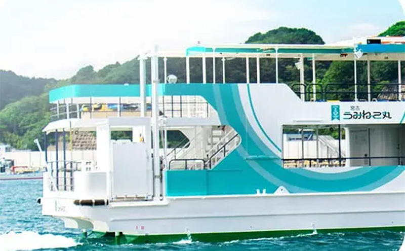 遊覧船 「宮古うみねこ丸」 乗船券 [2枚] チケット 券 名勝 景色 自然 船